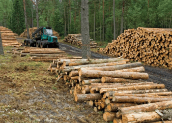 Untitled design (15)