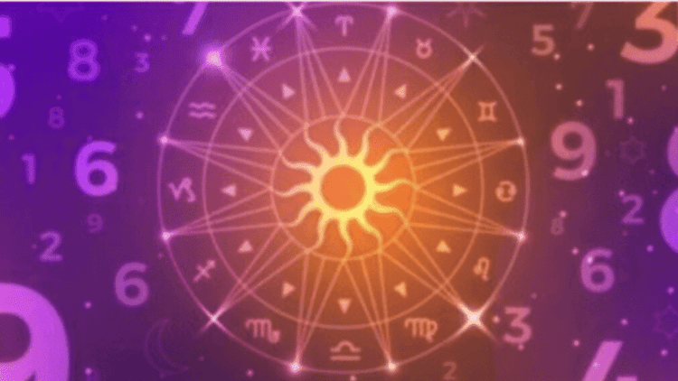 Untitled design (18)