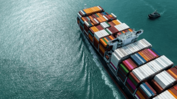 Untitled design (19)