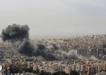 Untitled design 2026 03 02T232440.991