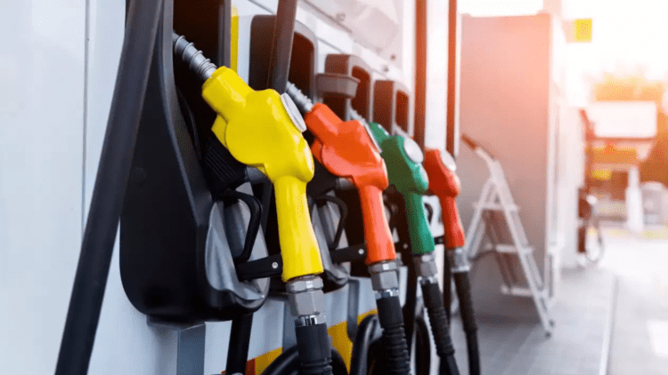 Untitled design 2026 03 05T103157.104