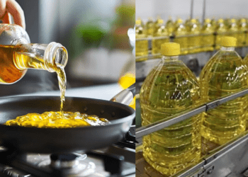 Untitled design 2026 03 05T132323.990