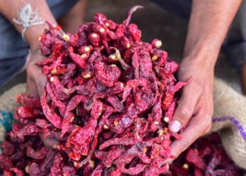 Untitled design 2026 03 09T195531.132