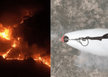 Untitled design 2026 03 10T124026.564