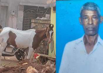 Untitled design 2026 03 11T112348.960