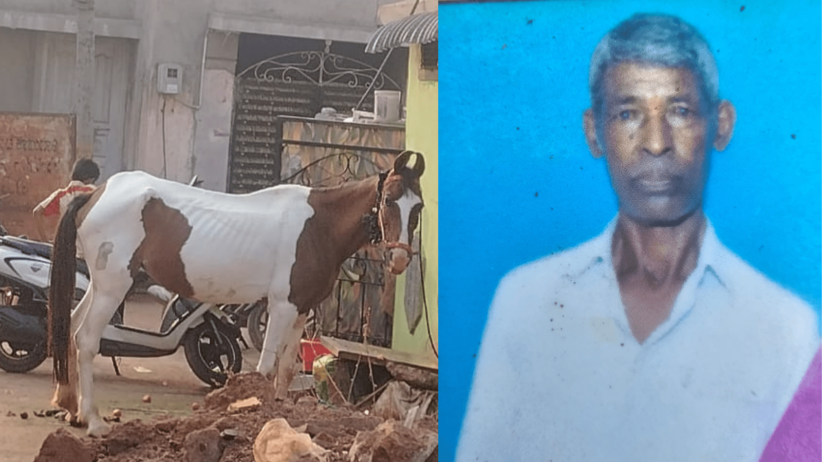 ರಸ್ತೆ ಬದಿ ನಡೆದುಕೊಂಡು ಹೋಗುವಾಗ ಜಾಡಿಸಿ ಒದ್ದ ಕುದುರೆ: ವ್ಯಕ್ತಿ ಸಾವು