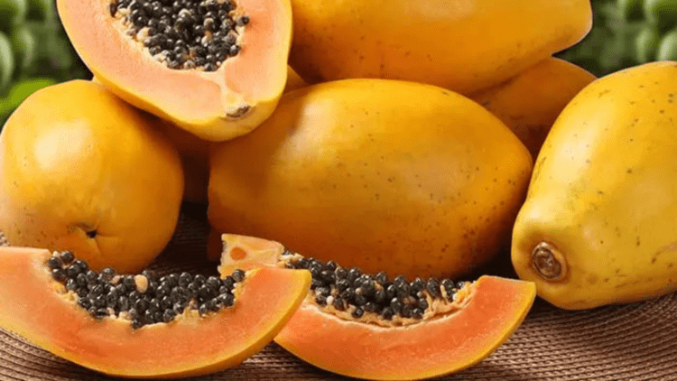 Untitled design 2026 03 12T065309.228