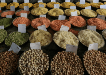 Untitled design 2026 03 12T102536.077