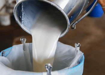 Untitled design 2026 03 12T134419.076