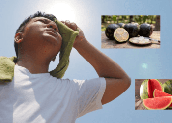 Untitled design 2026 03 12T232136.240