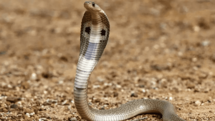 Untitled design 2026 03 14T173802.013