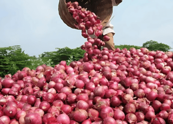 Untitled design 2026 03 19T131248.988