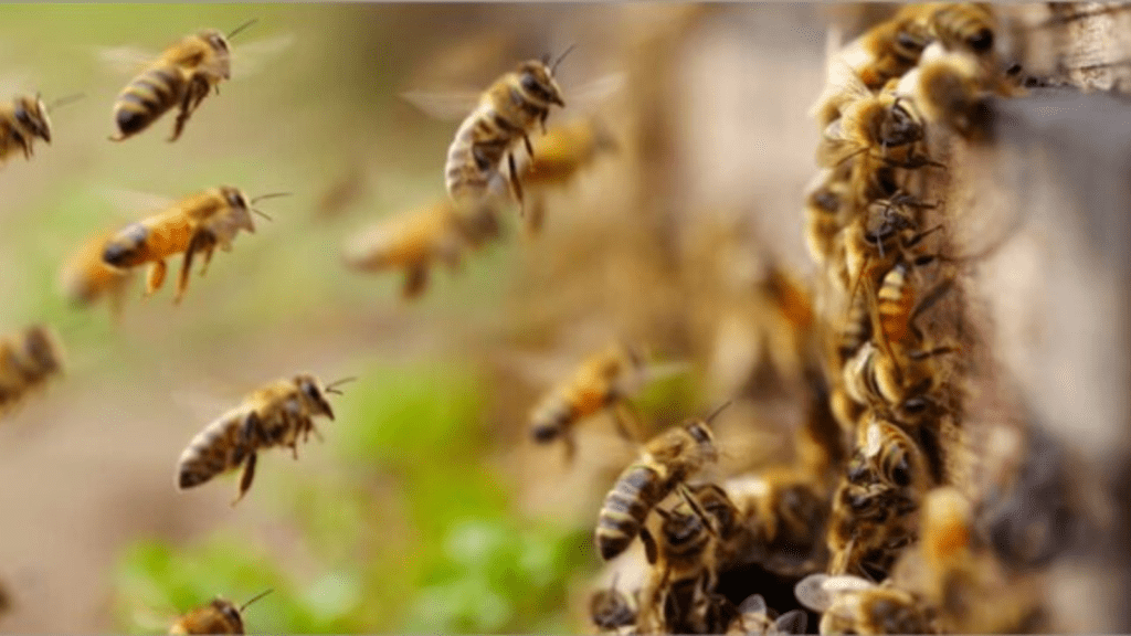 Untitled design 2026 03 21T172620.388