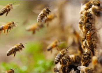 Untitled design 2026 03 21T172620.388