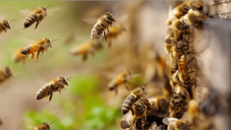 Untitled design 2026 03 21T172620.388