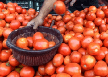 Untitled design 2026 03 21T192641.350