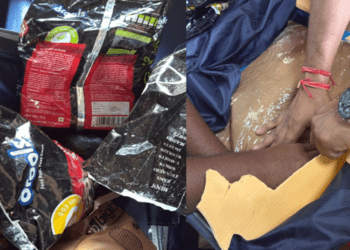 Untitled design 2026 03 22T070431.823