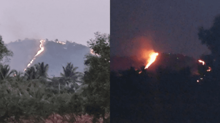 Untitled design 2026 03 22T071254.853