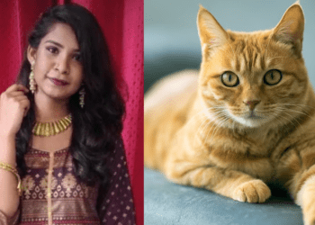 Untitled design 2026 03 22T165030.110