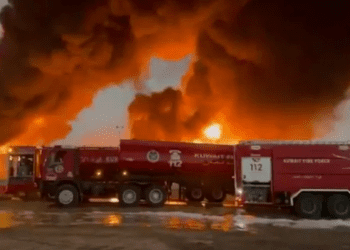 Untitled design 2026 03 28T223048.690