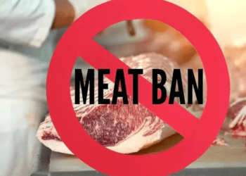 Untitled design 2026 03 30T074746.938