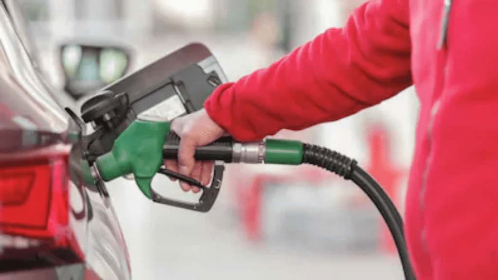 Untitled design (22)