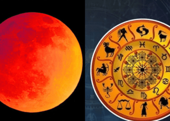 Untitled design (22)