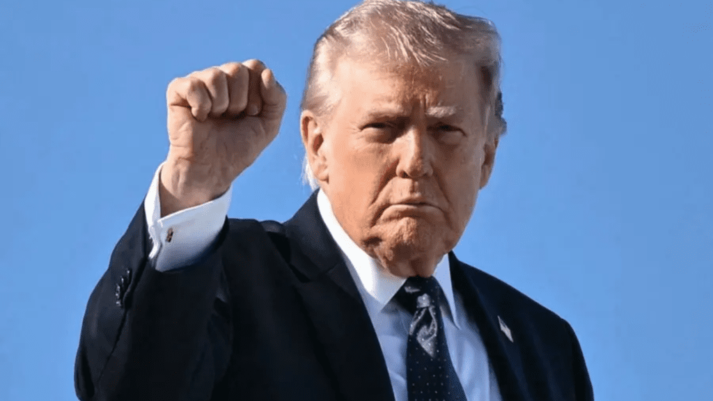 Untitled design (23)