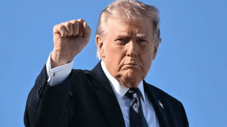 Untitled design (23)