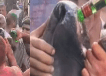 Untitled design (26)