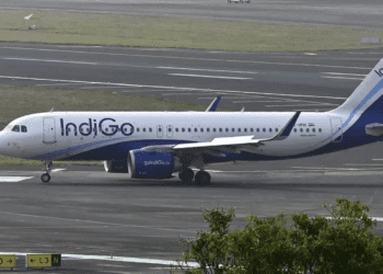 Untitled design (29)