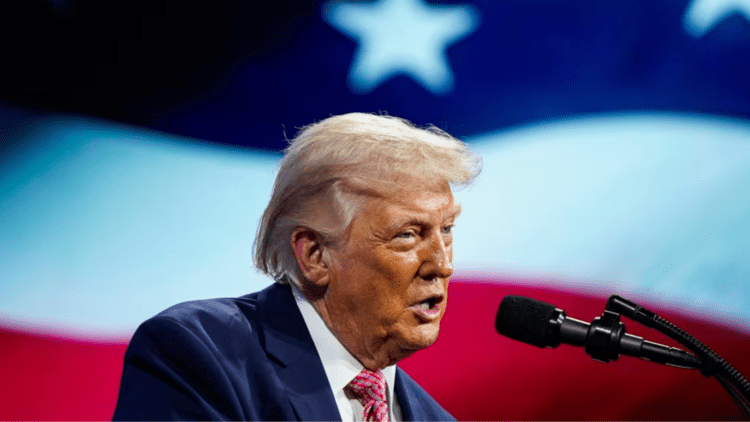 Untitled design (31)