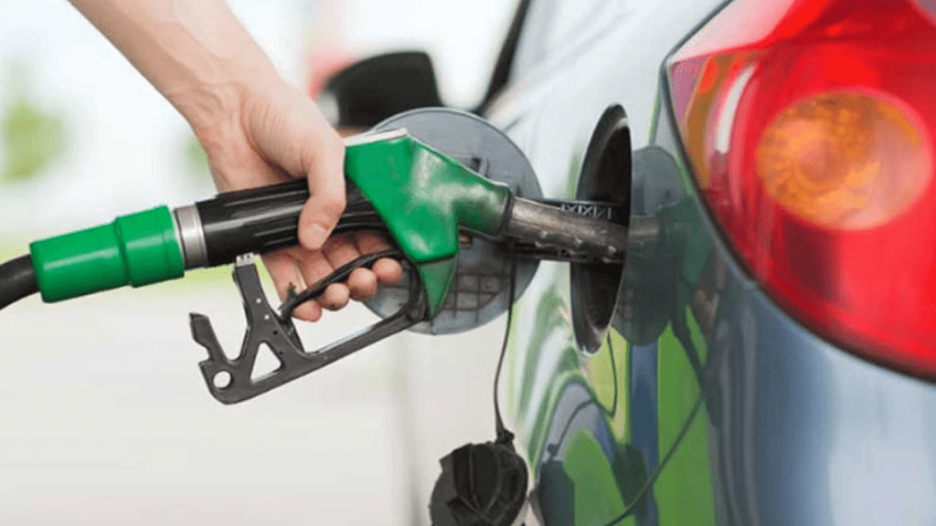 Untitled design (33)