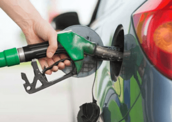 Untitled design (33)