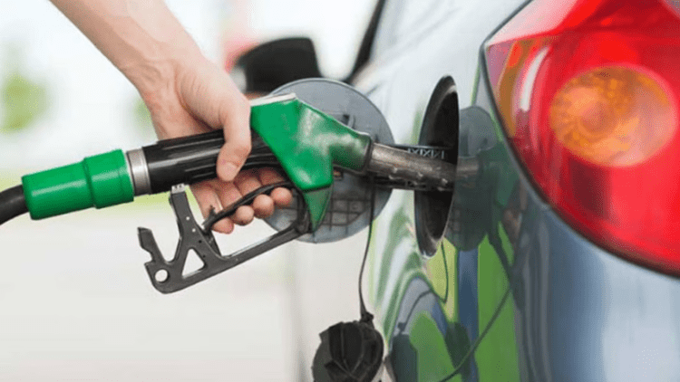 Untitled design (33)