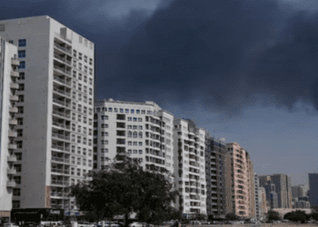 Untitled design (37)