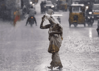 Untitled design (40)