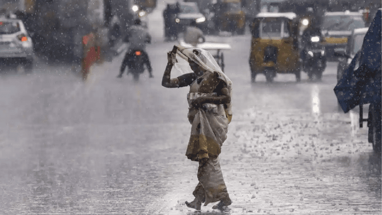 Untitled design (40)