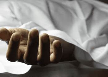 Untitled design (41)