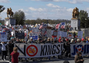 Untitled design (44)