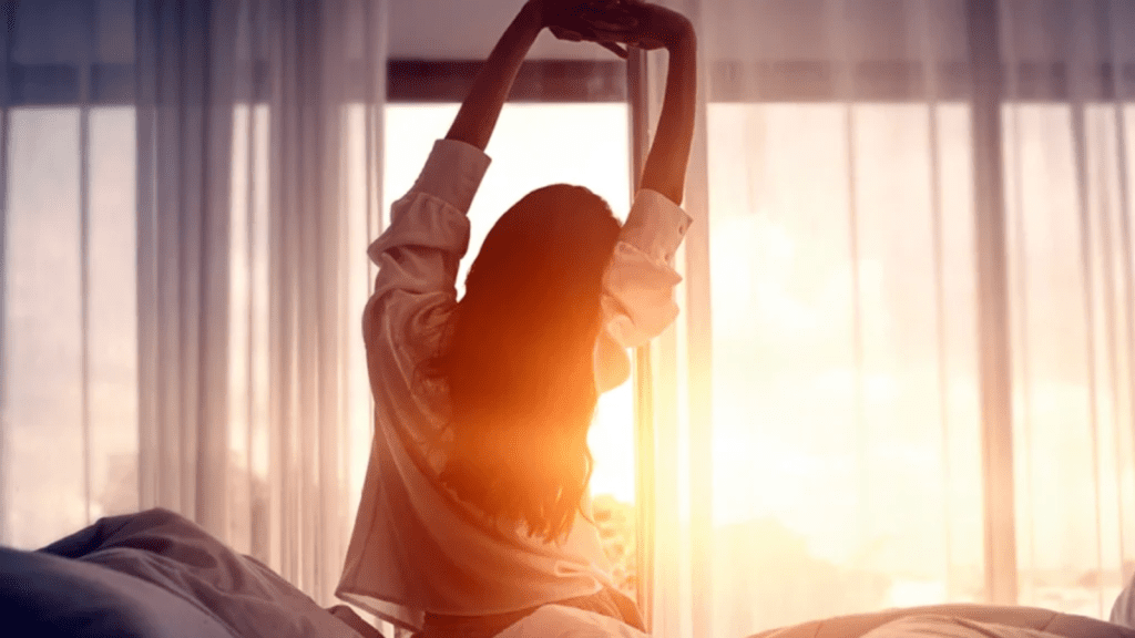 Untitled design (47)