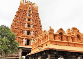 Untitled design (47)