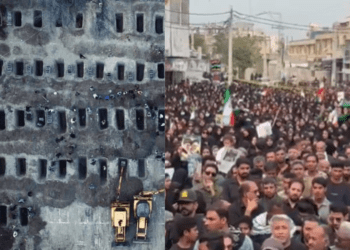 Untitled design (48)