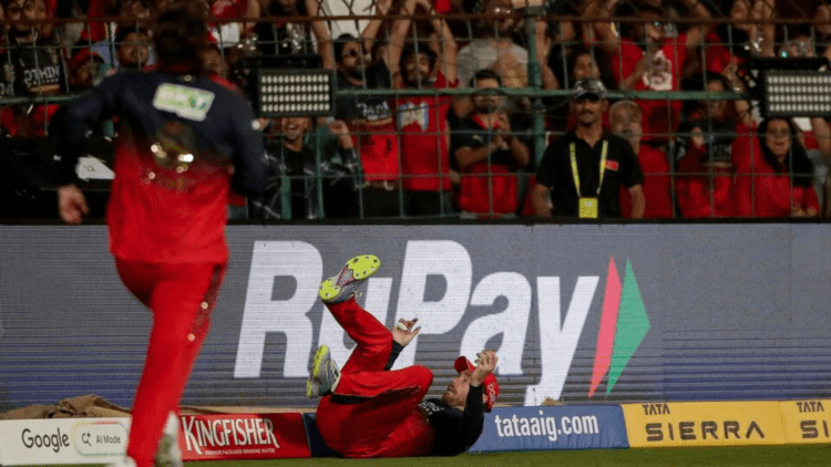 Untitled design (50)