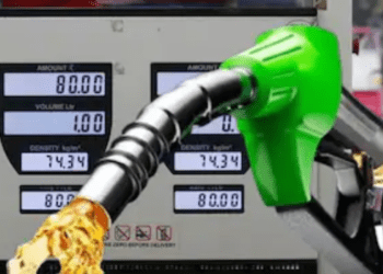 Untitled design (55)