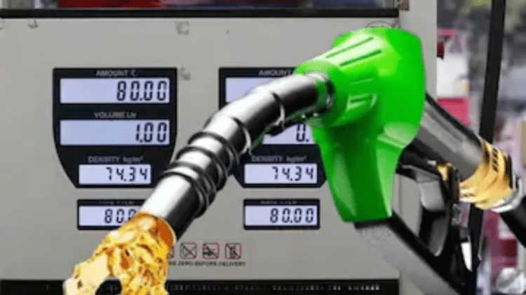 Untitled design (55)