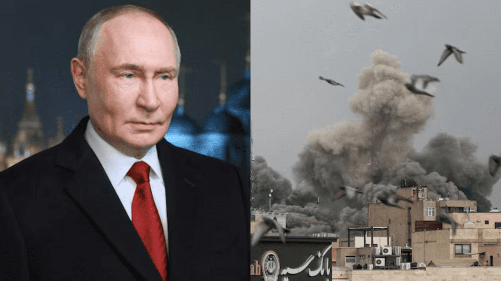 Untitled design (85)