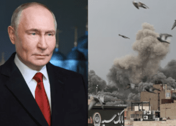 Untitled design (85)