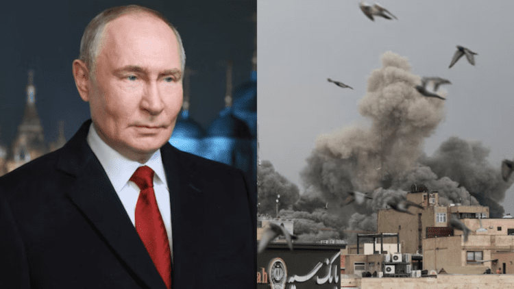 Untitled design (85)