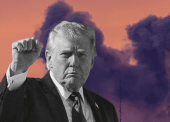 Untitled design (93)